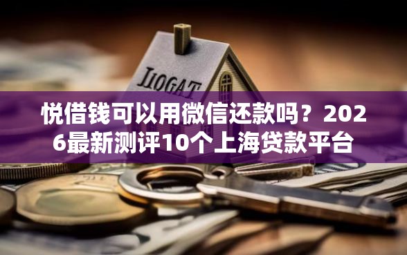 悦借钱可以用微信还款吗？2026最新测评10个上海贷款平台