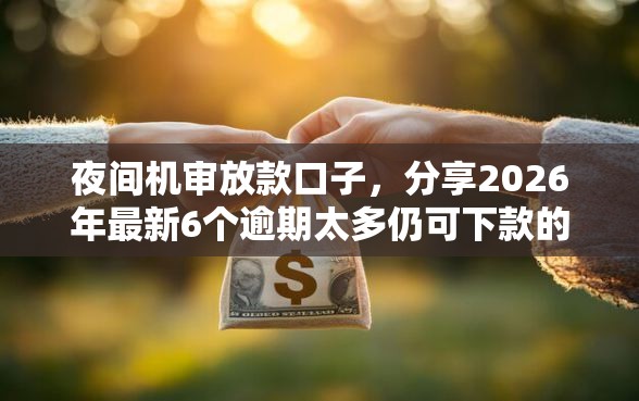 夜间机审放款口子，分享2026年最新6个逾期太多仍可下款的口子