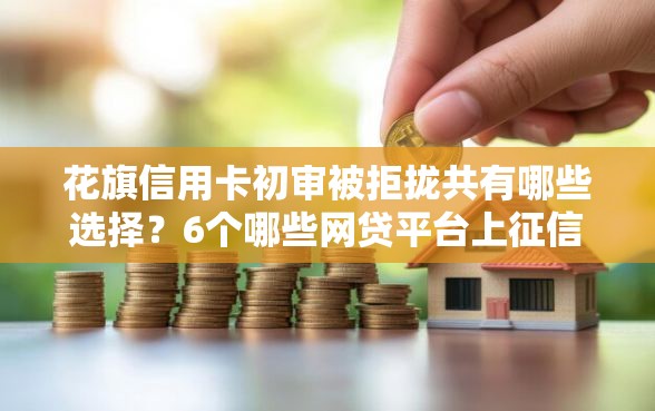 花旗信用卡初审被拒拢共有哪些选择？6个哪些网贷平台上征信详解