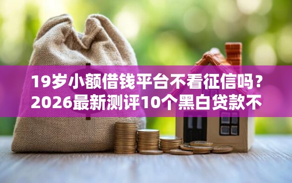 19岁小额借钱平台不看征信吗？2026最新测评10个黑白贷款不是高炮的平台