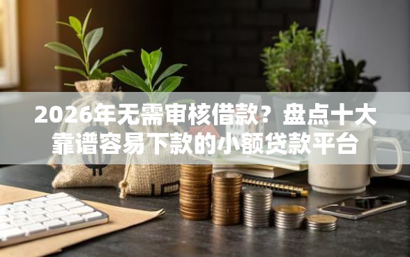 2026年无需审核借款？盘点十大靠谱容易下款的小额贷款平台