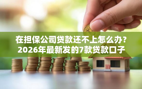 在担保公司贷款还不上怎么办？2026年最新发的7款贷款口子