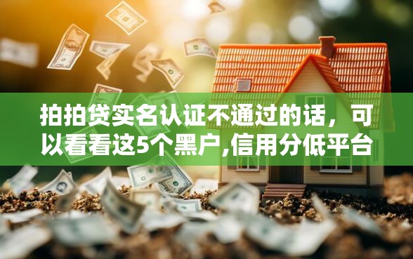 拍拍贷实名认证不通过的话，可以看看这5个黑户,信用分低平台可以借钱