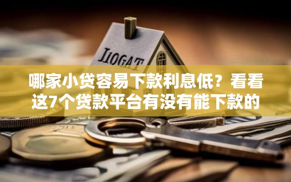 哪家小贷容易下款利息低？看看这7个贷款平台有没有能下款的