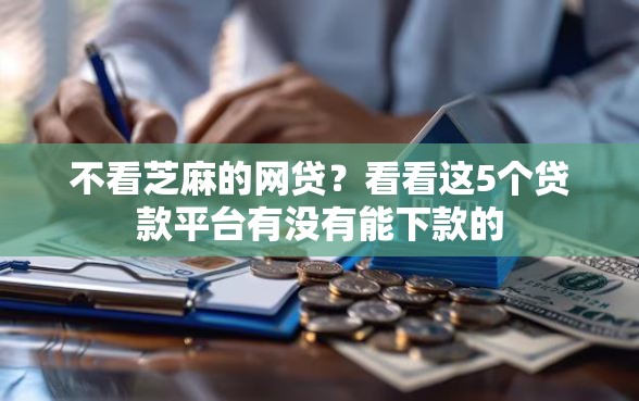 不看芝麻的网贷？看看这5个贷款平台有没有能下款的