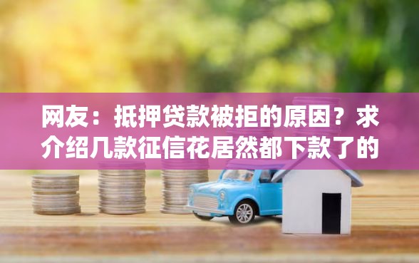 网友：抵押贷款被拒的原因？求介绍几款征信花居然都下款了的app
