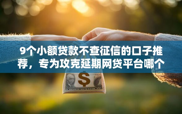 9个小额贷款不查征信的口子推荐，专为攻克延期网贷平台哪个好下款难题