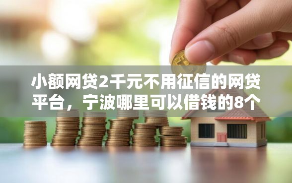小额网贷2千元不用征信的网贷平台，宁波哪里可以借钱的8个平台介绍