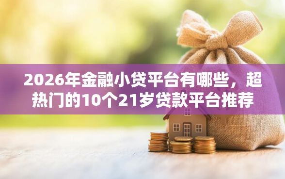 2026年金融小贷平台有哪些，超热门的10个21岁贷款平台推荐