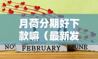 月荷分期好下款嘛（最新发布！）8个最容易贷款的平台