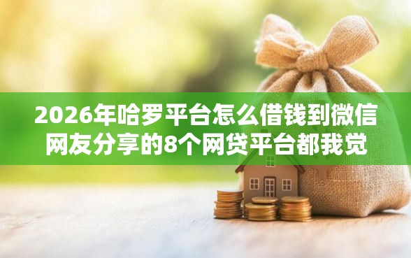 2026年哈罗平台怎么借钱到微信网友分享的8个网贷平台都我觉得不错！