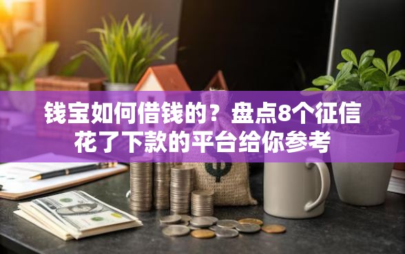 钱宝如何借钱的？盘点8个征信花了下款的平台给你参考