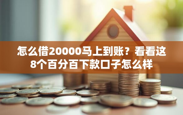 怎么借20000马上到账？看看这8个百分百下款口子怎么样