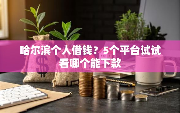 哈尔滨个人借钱？5个平台试试看哪个能下款