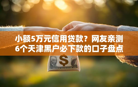 小额5万元信用贷款?网友亲测6个天津黑户必下款的口子盘点 小额5万元信用贷款?网友亲测6个天津黑户必下款的口子盘点