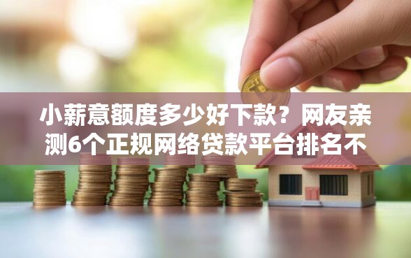 小薪意额度多少好下款？网友亲测6个正规网络贷款平台排名不分先后盘点