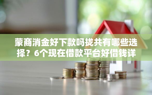 蒙商消金好下款吗拢共有哪些选择?6个现在借款平台好借钱详解 蒙商消金好下款吗拢共有哪些选择?6个现在借款平台好借钱详解