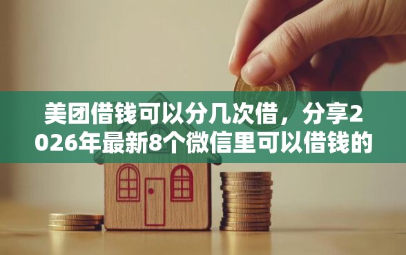 美团借钱可以分几次借，分享2026年最新8个微信里可以借钱的平台