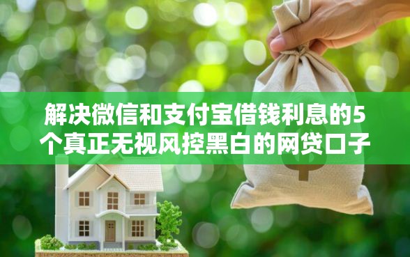 解决微信和支付宝借钱利息的5个真正无视风控黑白的网贷口子分享