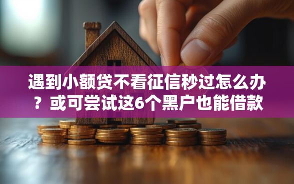 遇到小额贷不看征信秒过怎么办？或可尝试这6个黑户也能借款的网贷平台