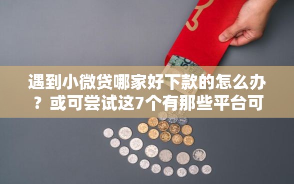 遇到小微贷哪家好下款的怎么办?或可尝试这7个有那些平台可以借钱 遇到小微贷哪家好下款的怎么办?或可尝试这7个有那些平台可以借钱
