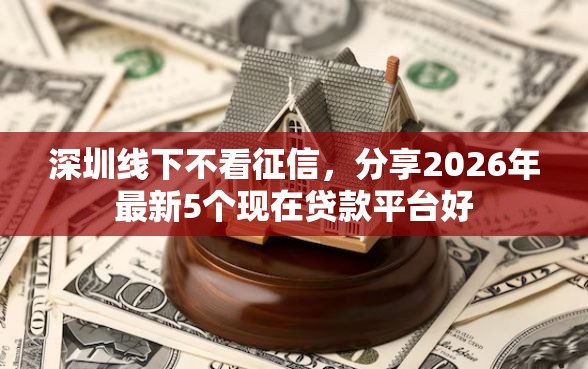 深圳线下不看征信，分享2026年最新5个现在贷款平台好