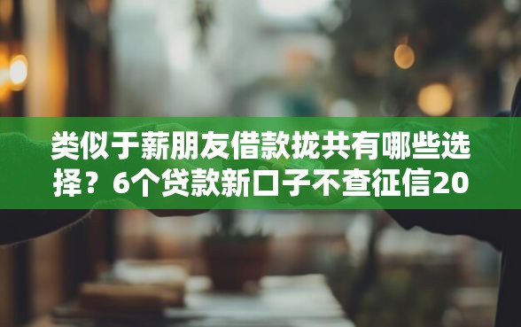 类似于薪朋友借款拢共有哪些选择？6个贷款新口子不查征信2025详解