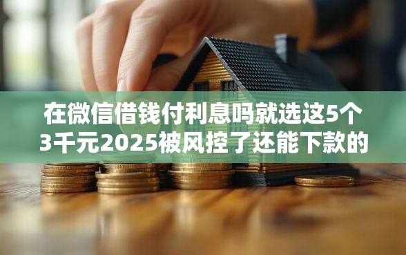 在微信借钱付利息吗就选这5个3千元2025被风控了还能下款的平台