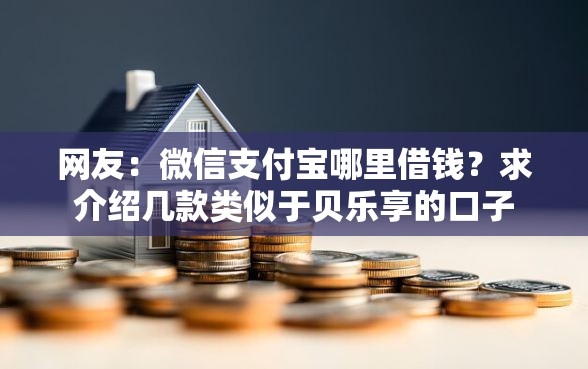 网友：微信支付宝哪里借钱？求介绍几款类似于贝乐享的口子