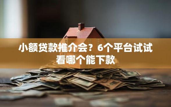 小额贷款推介会？6个平台试试看哪个能下款