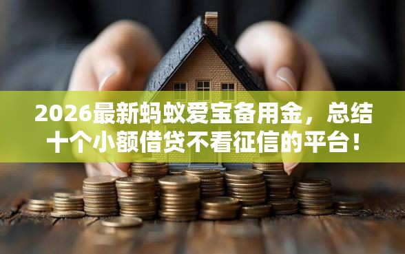 2026最新蚂蚁爱宝备用金，总结十个小额借贷不看征信的平台！