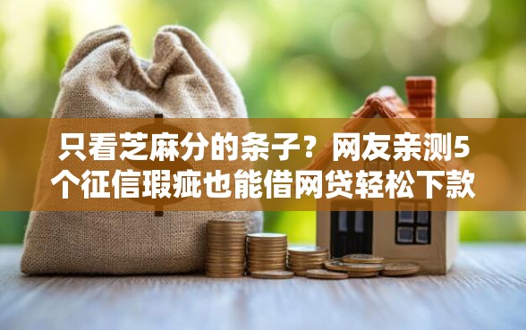 只看芝麻分的条子？网友亲测5个征信瑕疵也能借网贷轻松下款的口子盘点