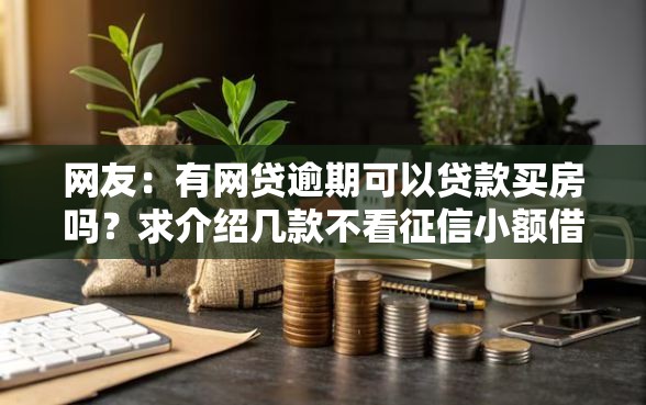 网友：有网贷逾期可以贷款买房吗？求介绍几款不看征信小额借钱的软件