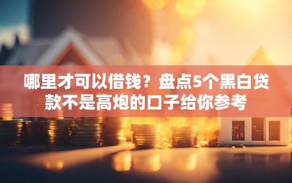 哪里才可以借钱？盘点5个黑白贷款不是高炮的口子给你参考
