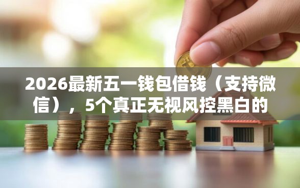 2026最新五一钱包借钱（支持微信），5个真正无视风控黑白的网贷软件无私分享