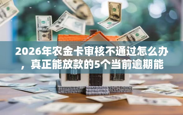 2026年农金卡审核不通过怎么办，真正能放款的5个当前逾期能下款的救命平台推荐