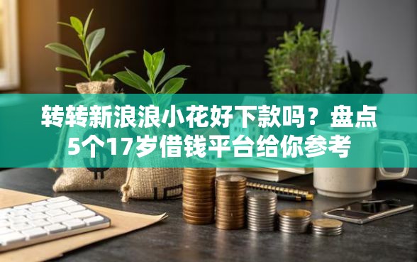 转转新浪浪小花好下款吗？盘点5个17岁借钱平台给你参考