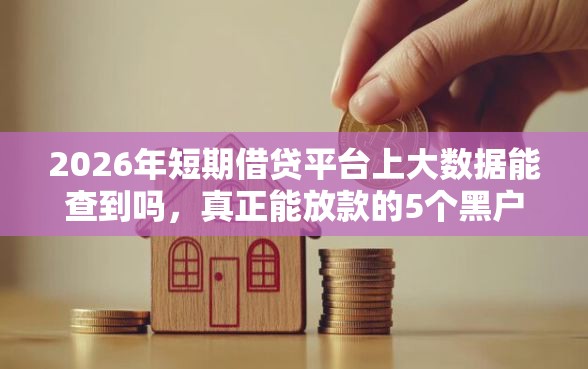 2026年短期借贷平台上大数据能查到吗，真正能放款的5个黑户贷款平台推荐