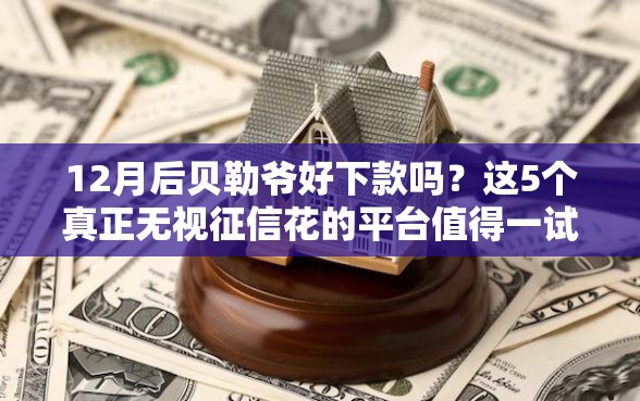 12月后贝勒爷好下款吗？这5个真正无视征信花的平台值得一试