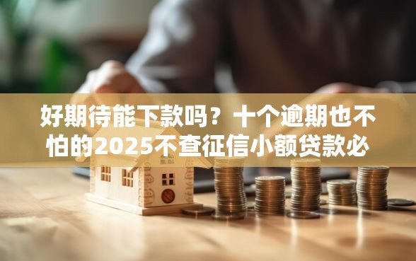 好期待能下款吗？十个逾期也不怕的2025不查征信小额贷款必下口子