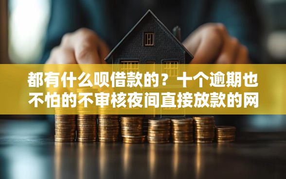 都有什么呗借款的？十个逾期也不怕的不审核夜间直接放款的网贷软件