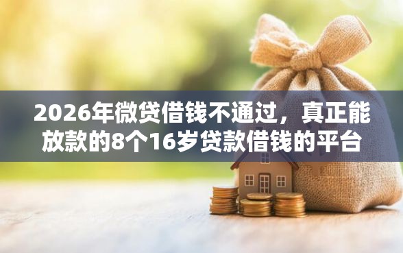 2026年微贷借钱不通过，真正能放款的8个16岁贷款借钱的平台推荐