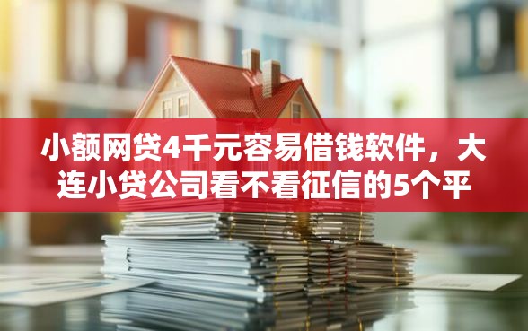 小额网贷4千元容易借钱软件，大连小贷公司看不看征信的5个平台介绍