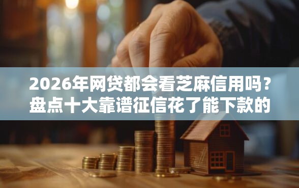 2026年网贷都会看芝麻信用吗？盘点十大靠谱征信花了能下款的平台