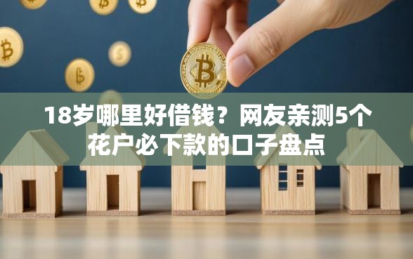 18岁哪里好借钱？网友亲测5个花户必下款的口子盘点