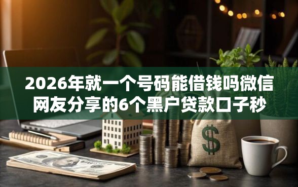 2026年就一个号码能借钱吗微信网友分享的6个黑户贷款口子秒下的我觉得不错！