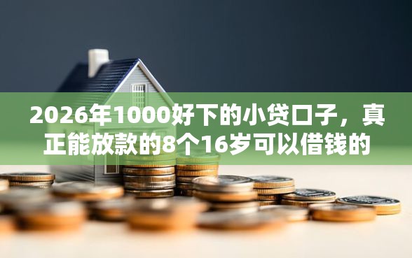 2026年1000好下的小贷口子，真正能放款的8个16岁可以借钱的平台推荐