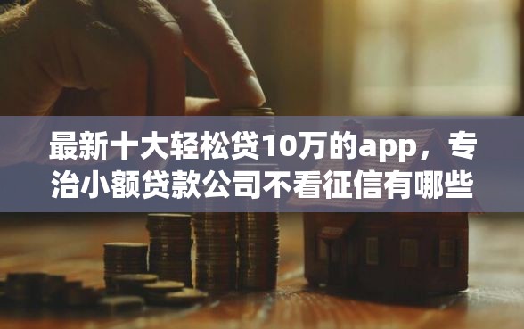 最新十大轻松贷10万的app，专治小额贷款公司不看征信有哪些