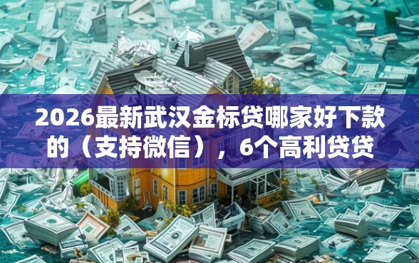 2026最新武汉金标贷哪家好下款的(支持微信),6个高利贷贷款平台无私分享 2026最新武汉金标贷哪家好下款的(支持微信),6个高利贷贷款平台无私分享