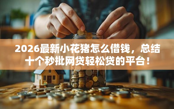 2026最新小花猪怎么借钱，总结十个秒批网贷轻松贷的平台！